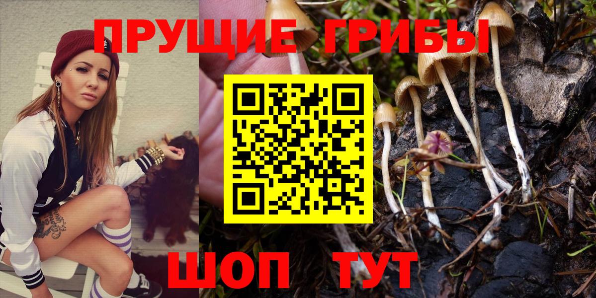 Галлюциногенные грибы MAGIC MUSHROOMS Удомля