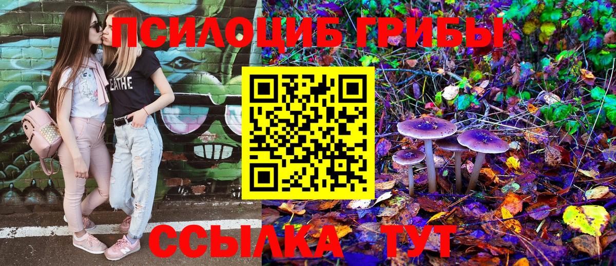 Галлюциногенные грибы Cubensis  купить закладку  Удомля  Вход с VPN  Галлюциногенные грибы прущие грибы 